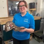 Kristen S. holding Kaa, a large and round ball python.