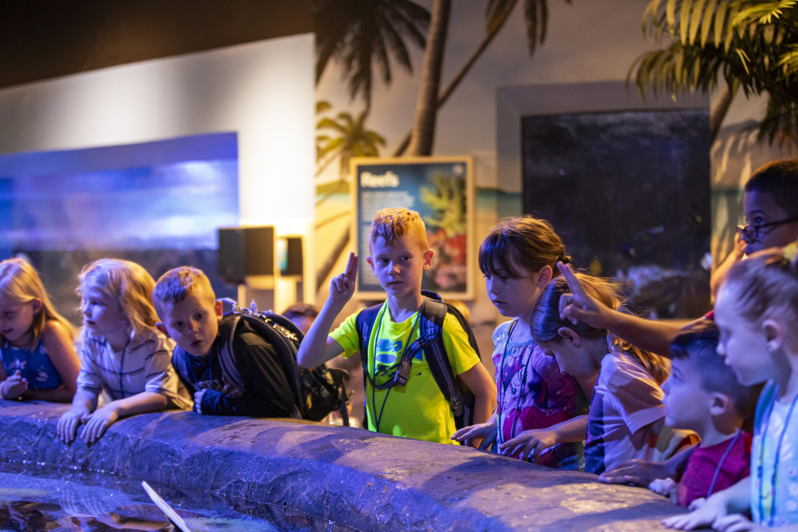 WAVE Foundation – Education Conservation Volunteerism