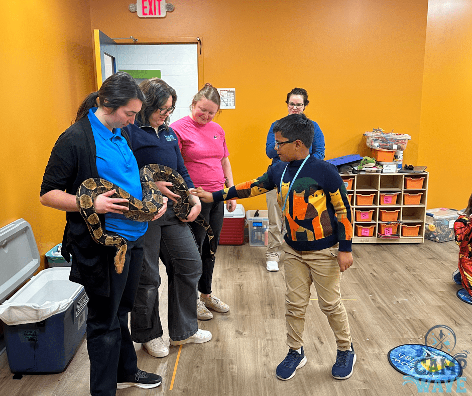 A child in a cat sweater touching a large snake being held by two educators.
