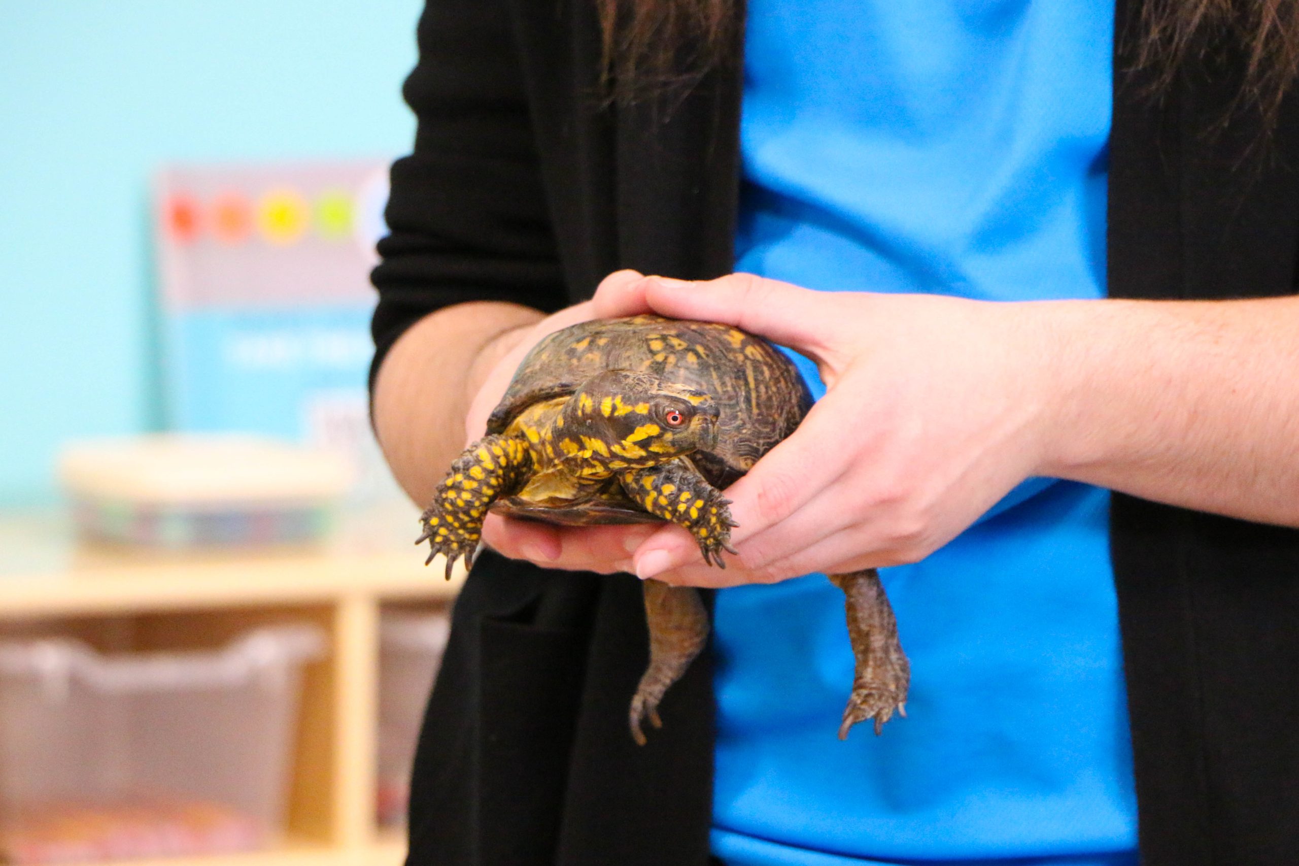 02.19.2026.homeschool learning lab (15 of 21)